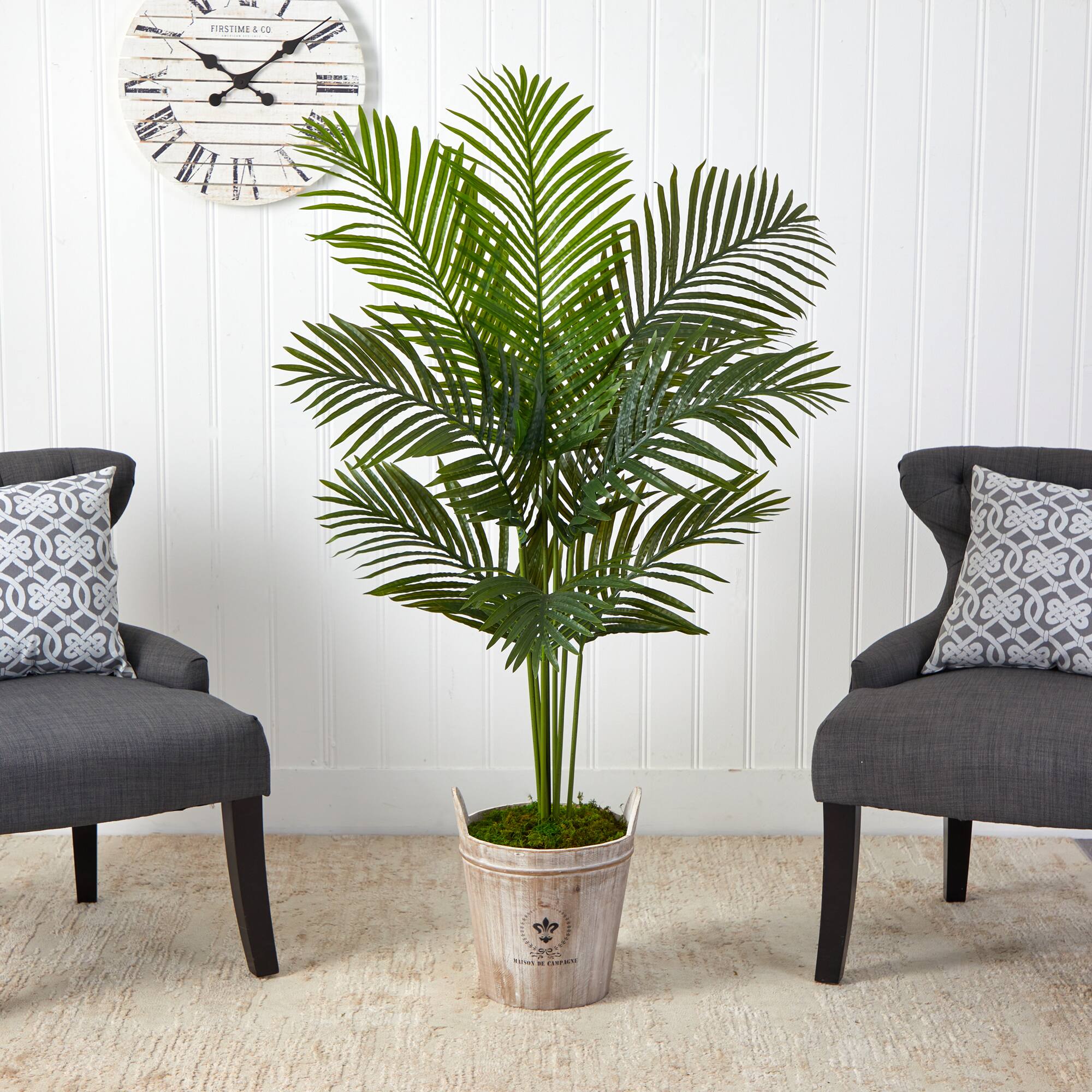 5ft. Paradise Palm Tree in Farmhouse Planter